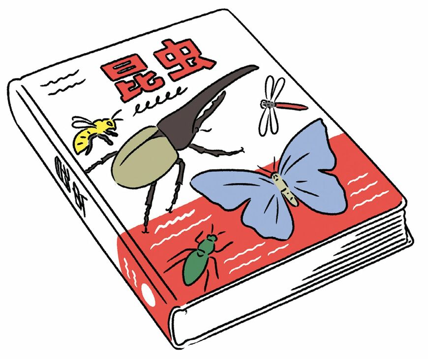 イラスト