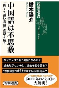 橋本陽介『中国語は不思議 「近くて遠い言語」の謎を解く』(新潮選書)