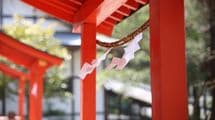 ｢善行を積めば幸せになれ､悪行を犯すと罰が下る｣ワケではない…初詣の前に知っておきたい日本の神様の特徴