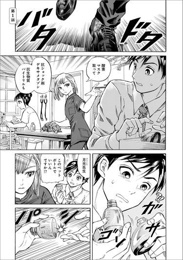 再就職先を探す新人獣医が目にした