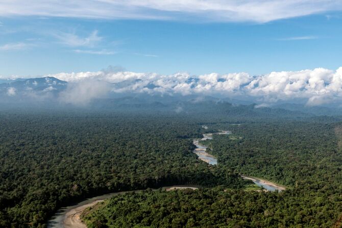 パプアニューギニアの川とジャングル