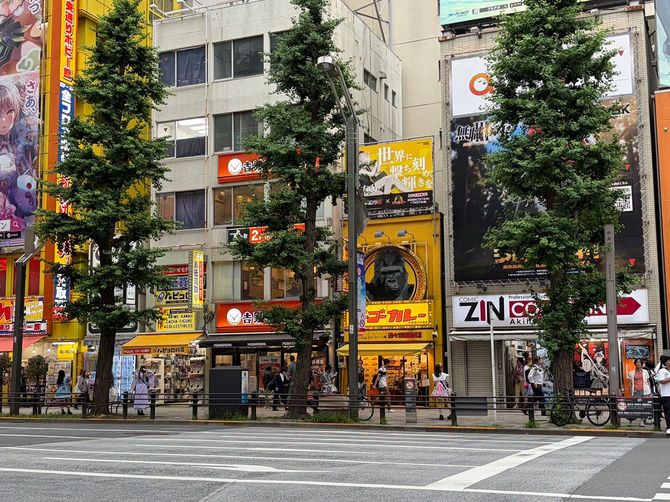 秋葉原駅周辺ではコンカフェの客引きの姿が見受けられる
