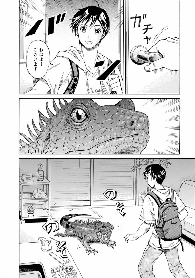 『珍獣のお医者さん』©二宮香乃／KADOKAWA