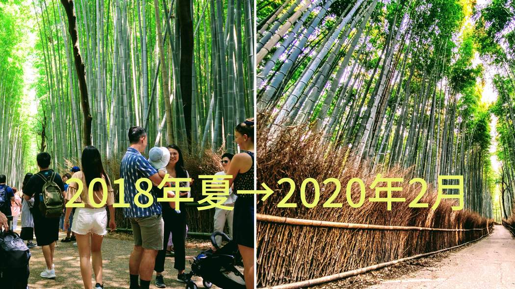 新型コロナで閑古鳥､いまこそ｢京都､行こう｣のチャンスだ 無人の｢竹林の小径｣も撮影できる