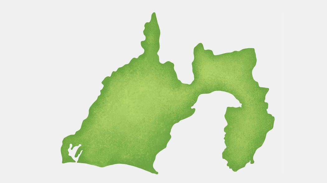 なぜ浜松は薄口醬油で､静岡は濃口醤油なのか…どんな県知事でも｢オール静岡｣が難しいと言われるワケ ひとつの県の中に3つの異なる国が存在する