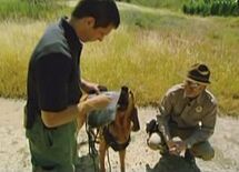 警察犬をだませる唯一の方法とは？