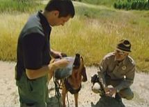 警察犬をだませる唯一の方法とは？