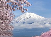 社長が「日本一」を連呼する企業は危ない