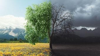 ｢死ぬ瞬間は痛いのか｣｢死んだらどこへ行くのか｣｢私は忘れられてしまうのか｣住職に聞いてみた