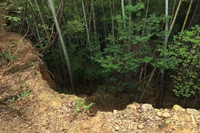 城内断崖の斜面