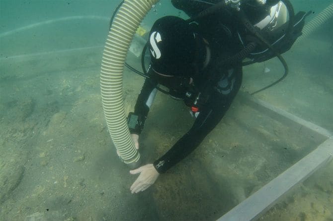 海底調査をする山舩さん