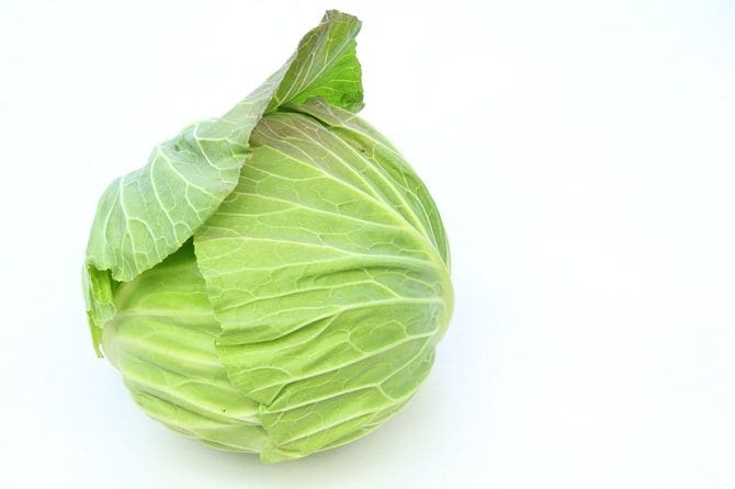 キャベツ