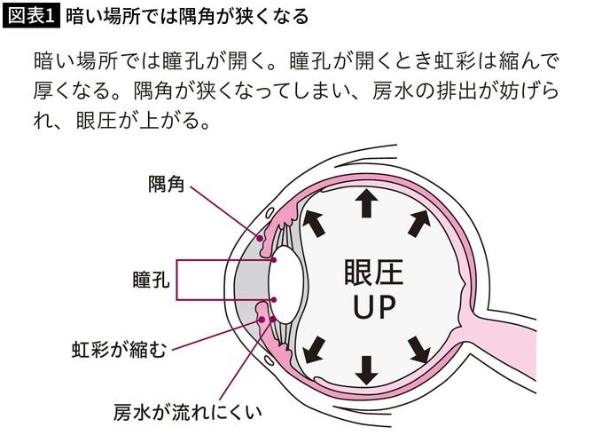 【図表1】暗い場所では隅角が狭くなる