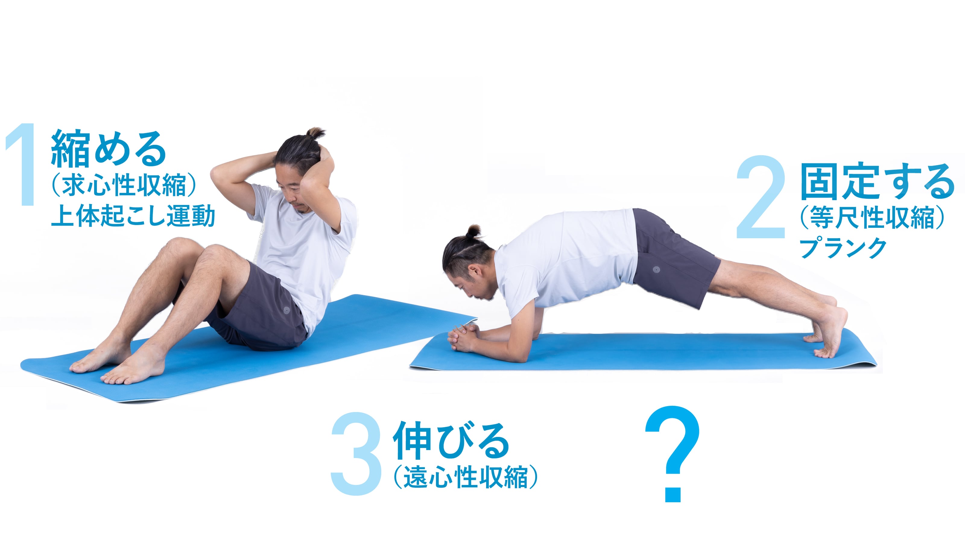 4日間でウエスト8cm減｣に成功…アラサー女性が｢プランク｣のかわり