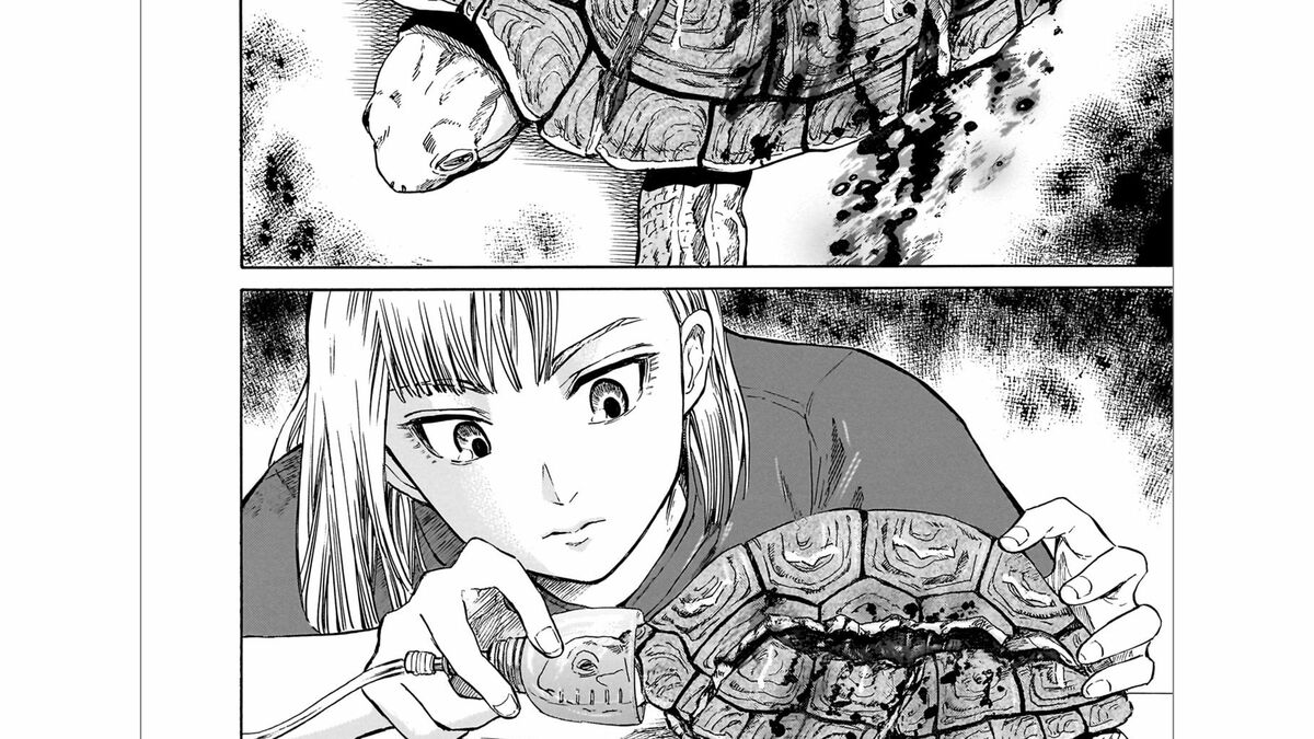 再就職先を探す新人獣医が目にした