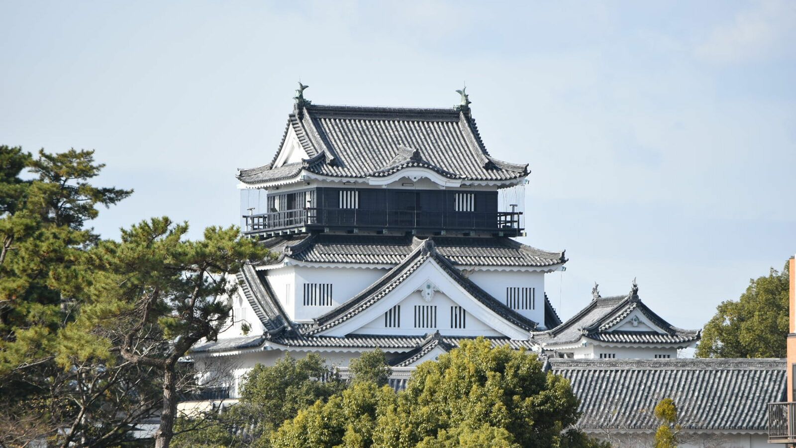 観光客欲しさに城を魔改造した…徳川家康生誕の地･岡崎城が史実とまったく違う姿になってしまったワケ 家康時代を偲ばせるのは空堀と一部の石垣のみ