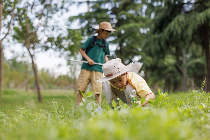 屋外で昆虫観察中の二人の男の子