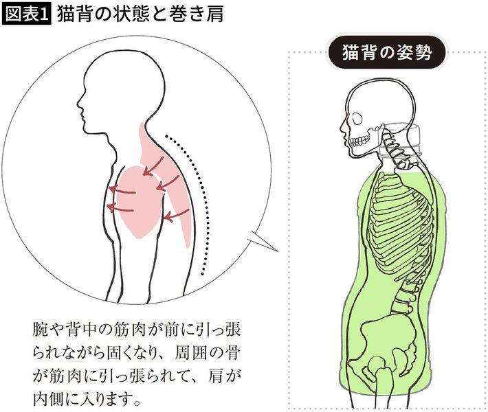 出典＝『<a href="https://www.amazon.co.jp/exec/obidos/ASIN/4833424738/presidentjp-22" target="_blank">背中をゆるめると健康になる</a>』