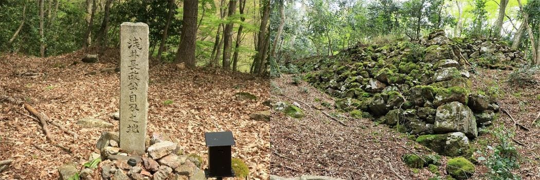 【豊臣兄弟!】秀吉の"強行突破"ルートも…滋賀県にある難攻不落の巨大山城｢小谷城｣全エリアの遺構をたどる