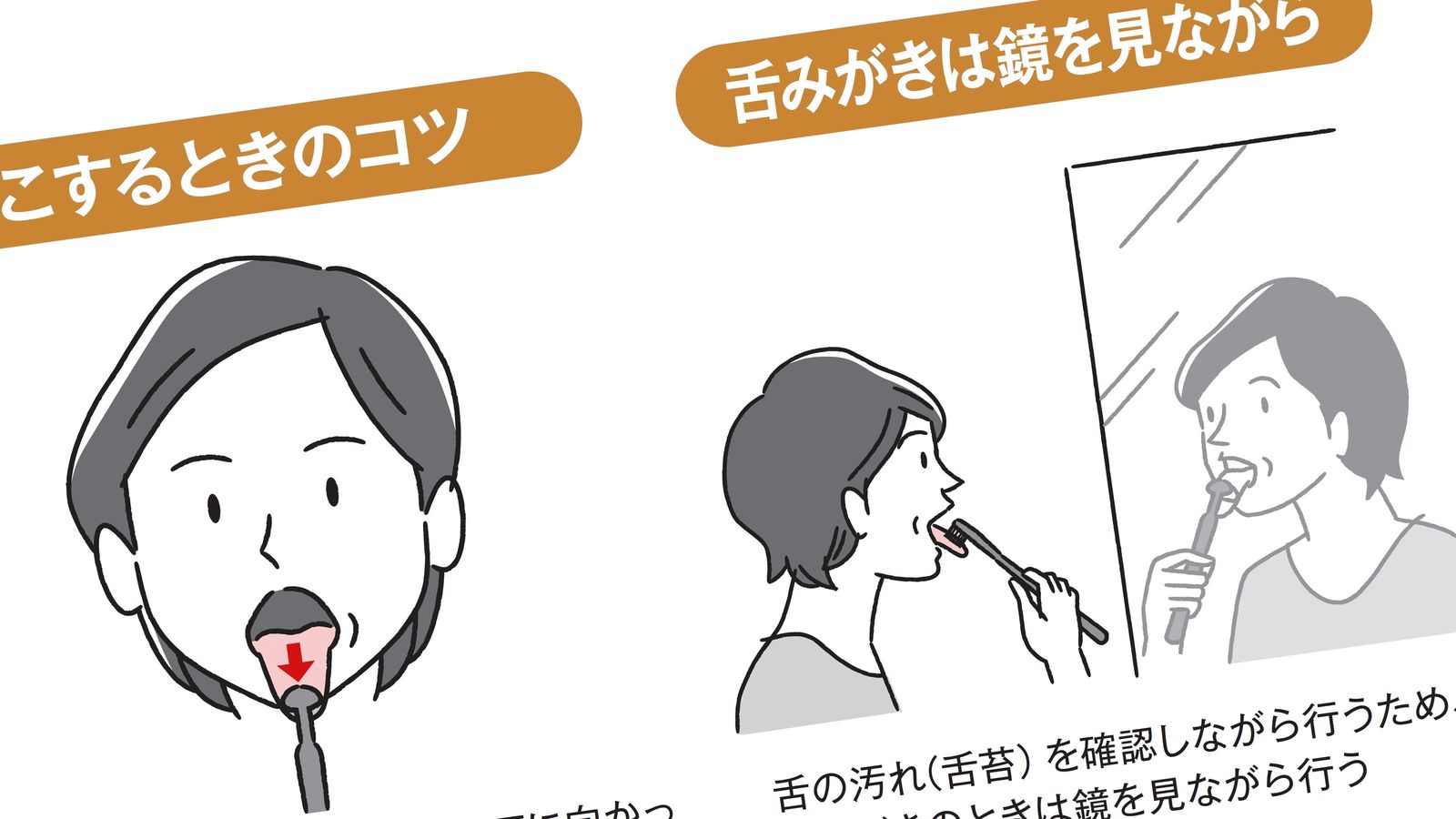 ｢朝起きてすぐの白湯｣は歯周病菌を大量に飲み込むことになる…歯科医師が｢起床直後にやるべき｣と説く習慣 ｢就寝前｣の次に重要な歯磨きのタイミングとは