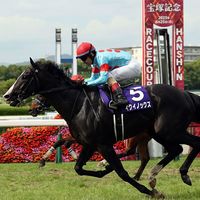 なぜ2年で売り上げが8000億円も増えたのか…競馬市場がコロナ禍を
