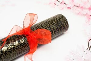 卒業証書と学歴詐称疑惑