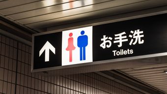 日本の公衆トイレは性犯罪に｢絶好の場所｣…海外のトイレとは明らかに違う｢2つの構造的欠陥｣