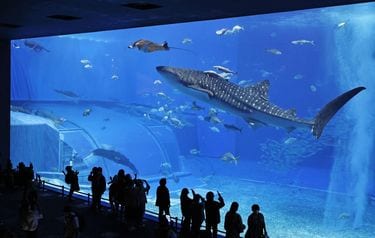 海様 真作 ゲーリー ウェルティ Gehry WeltyIMAHINIHINA LAGOONJジクレー ed