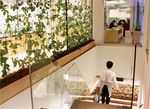 オフィス内の植物の管理は各部署に任されており、新人から役員まで、当番が交代で世話をする。