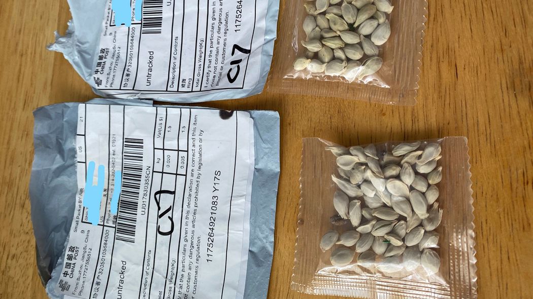 詐欺かバイオテロか､中国から送りつけられた謎の種…その目的を鋭く推理していく 偽装ラベルで新興国を経由する理由