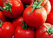 野菜を絶対摂取すべき理由、最低3つ言えるか？