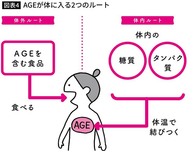 AGEが体に入る2つのルート