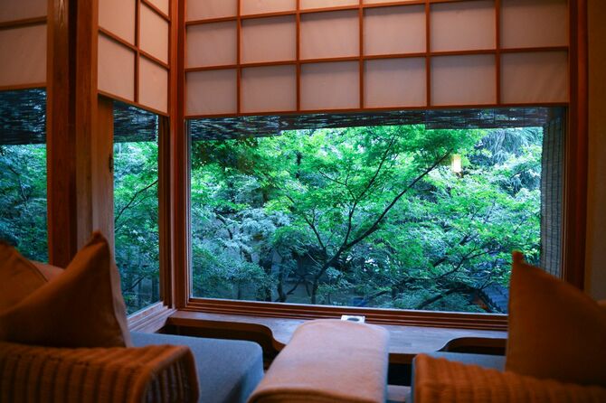 京都の旅館の窓から見える庭