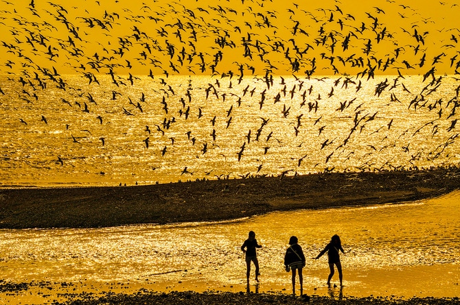 2025優秀賞「水ぬるむ」山内 勝さん