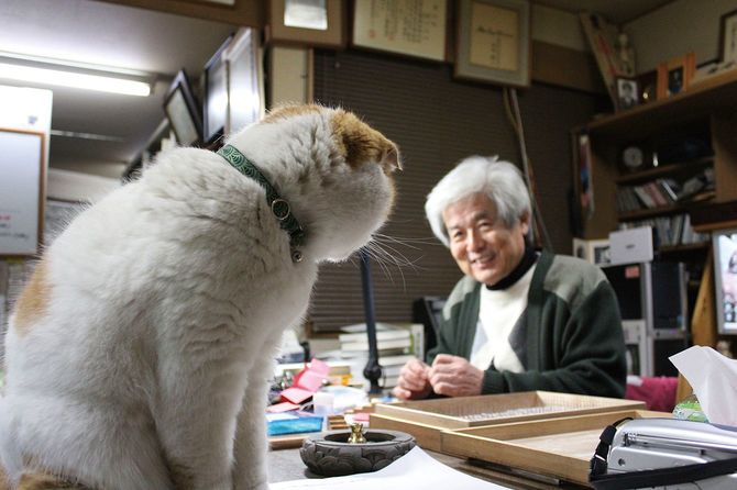 愛猫まると養老孟司さん
