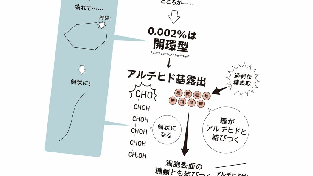 バナナでもりんごでもない…医師｢病的な老化を引き起こす主犯"アルデヒド"を増幅させる"デザートの種類"｣