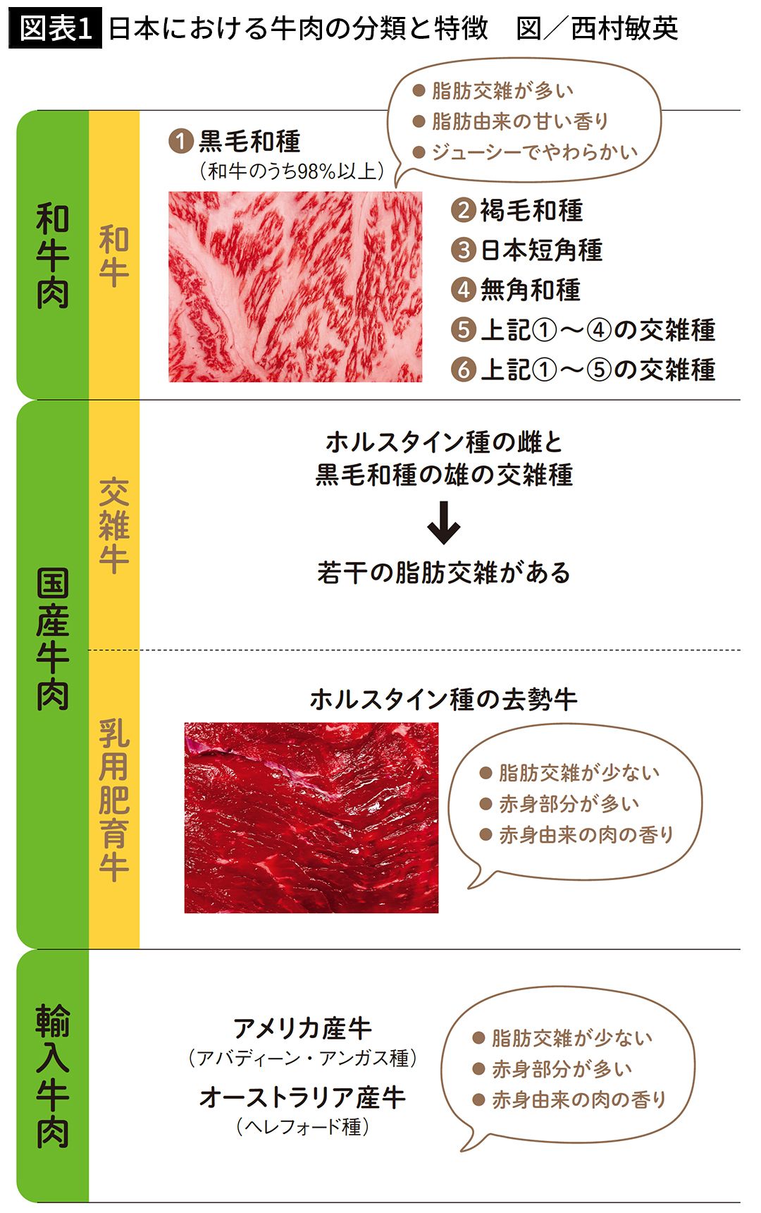 【図表1】日本における牛肉の分類と特徴　図／西村敏英