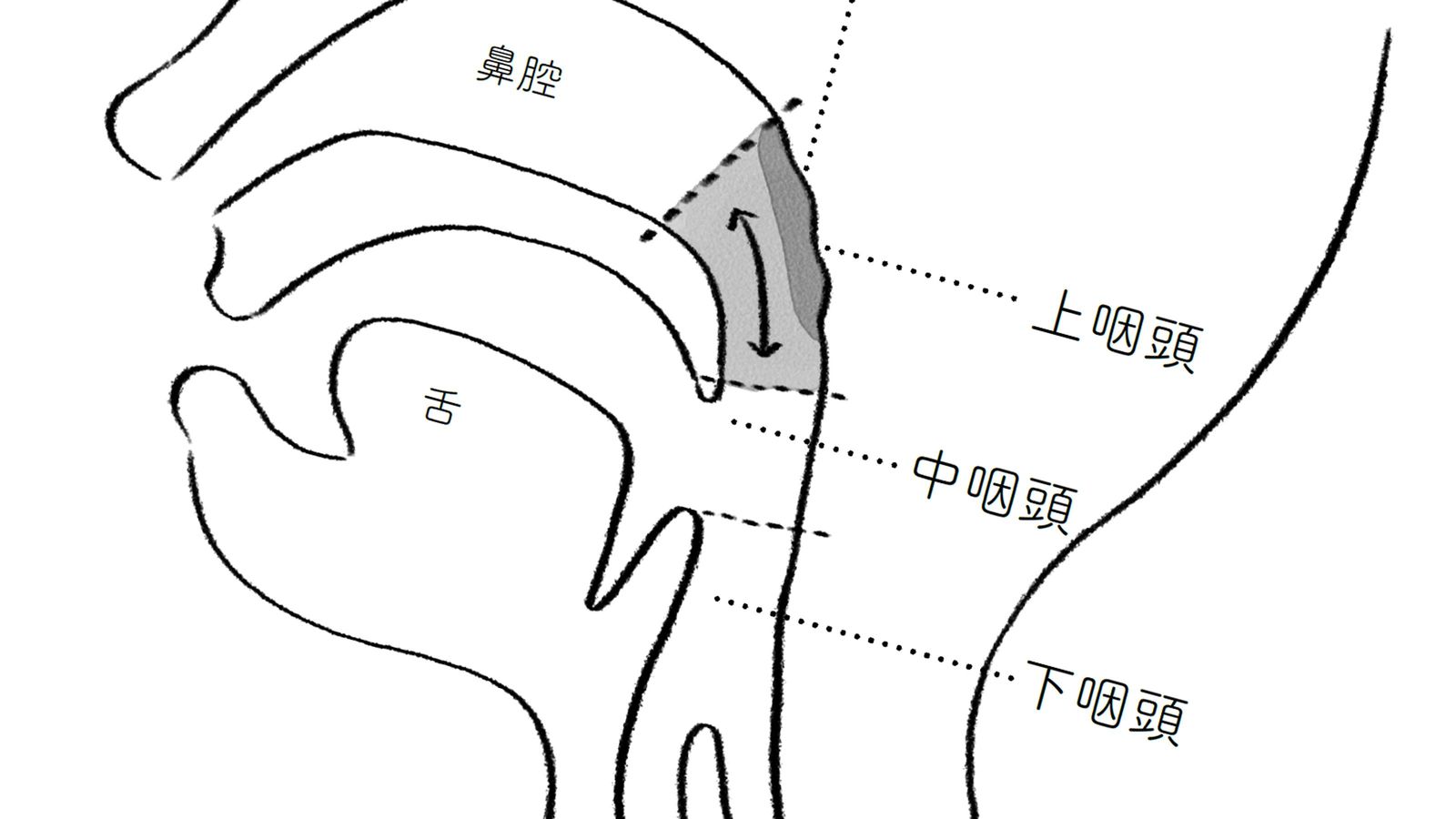 咳､のどの痛み､鼻づまり…風邪ではなく花粉症でもない｢喉の違和感｣を放置してはいけないワケ 全身の不調を引き起こす｢喉の奥の病気｣のリスク