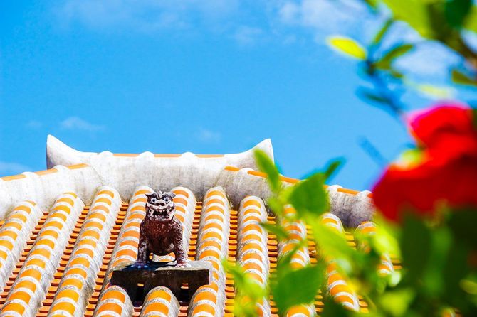 屋根の上のシーサーとハイビスカス