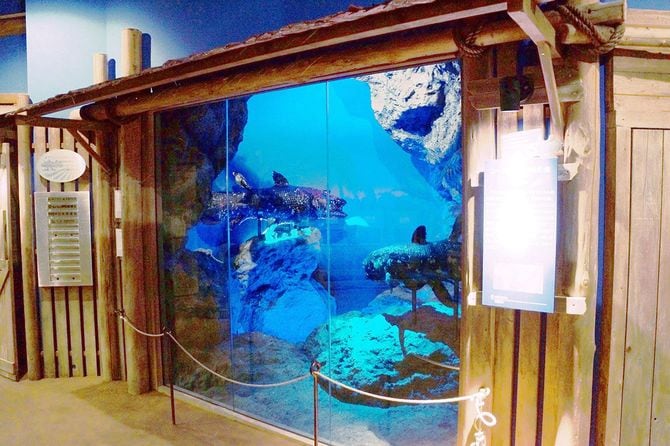 シーラカンスの標本の展示スペース。沼津港深海水族館 シーラカンス・ミュージアム