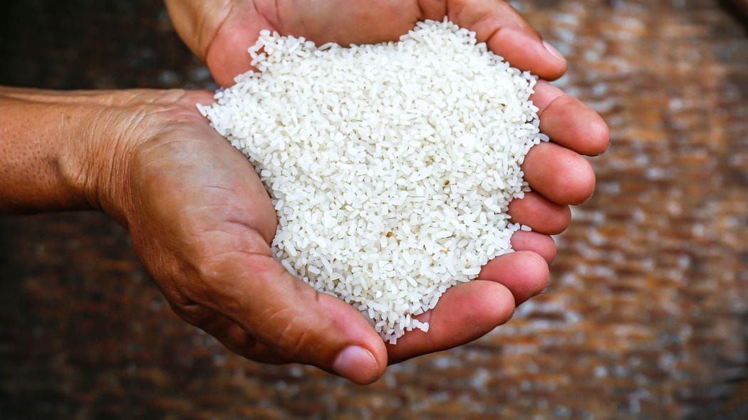 6000万人以上の日本人は餓死する…台湾有事からの｢輸入途絶｣で起きる現代の大飢饉を警告する 米の生産量を減らし続けた農水省とJA農協の罪