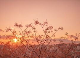 葬儀には、結局いくらかかるのか