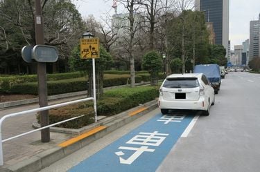 この自転車専用レーンも駐車スペースになっている