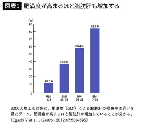 肥満度が高まるほど脂肪肝も増加する