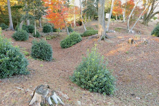 手前の空堀がうねりながら奥で別の堀と合流している