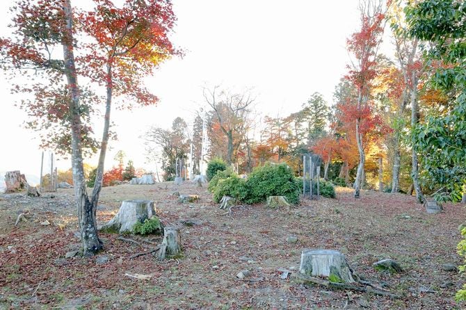 主郭内部。ここに御殿が立っていた（写真は発掘調査前のもの）