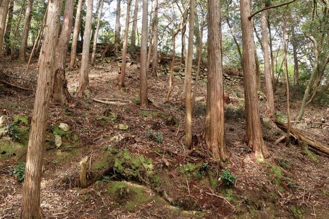 伝・布施淡路丸の外周部