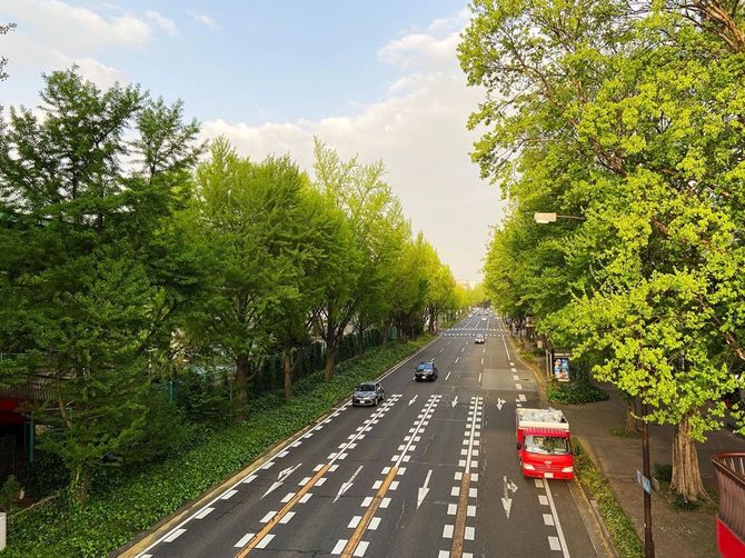 大須と栄の間を走る若宮大通