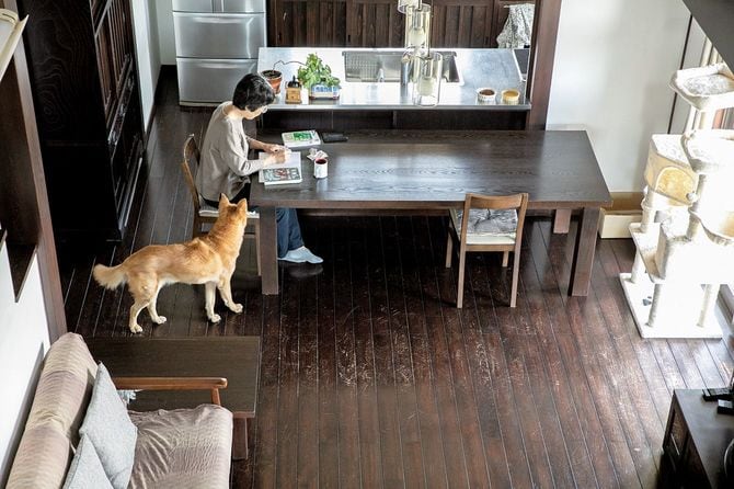 ダイニングテーブルで勉強する室町さん、横には愛犬