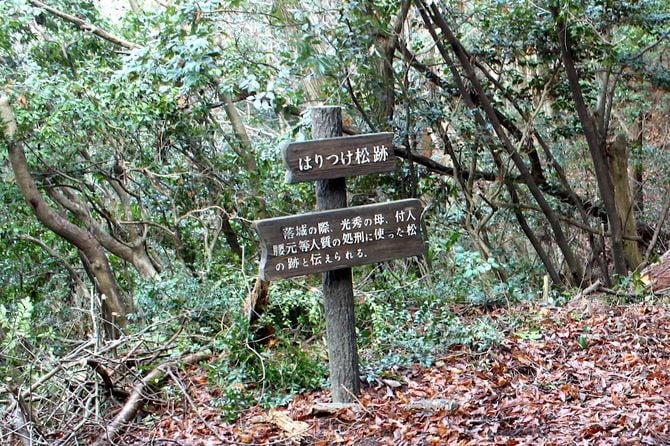 はりつけの松跡